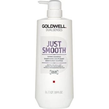 Goldwell Dualsenses Just Smooth Shampoo 1000 ml