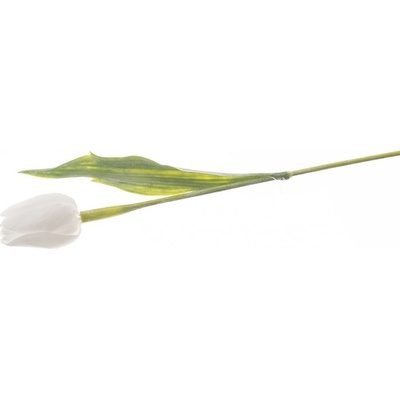 Květina UH tulipán bílý 40 cm