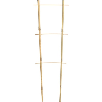 DVOJITÝ BAMBUSOVÝ REBRÍK 45 CM