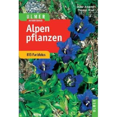 Alpenpflanzen