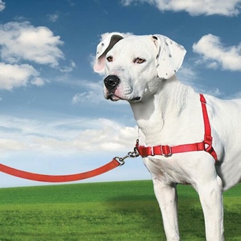 PetSafe Postroj EasyWalk