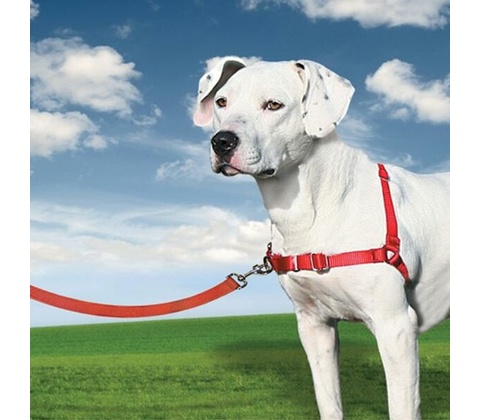 PetSafe Postroj EasyWalk