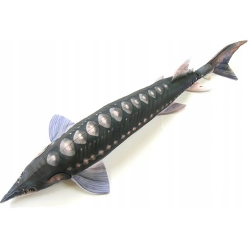 Gaby Vankúš Jeseter 120cm