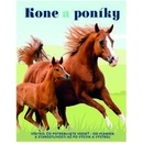 Kone a poníky