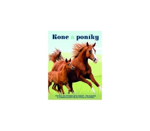 Kone a poníky