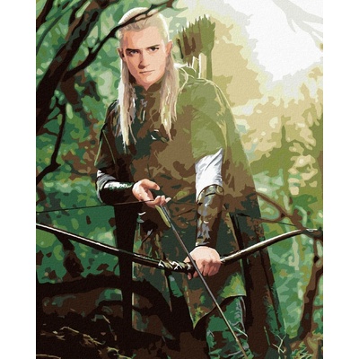 Zuty Legolas v lese pán prstenů 40 x 50 cm vypnuté plátno na rám 8596530238171