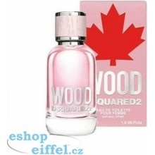 Dsquared2 Wood toaletní voda dámská 100 ml