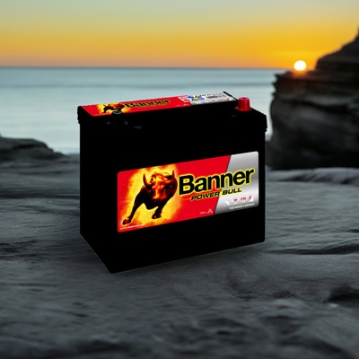Banner Power Bull 12V 45Ah 390A P45 23