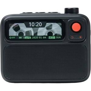 Divoom FlowToo, безжичен Bluetooth високоговорител, черен (FlowToo_black) Будилник