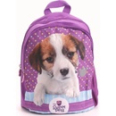 Benjamin Psík fialový