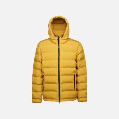 Geox Yellow men's jacket Spherica Men oranžová