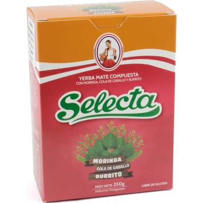 Selecta Čaj Yerba Maté Moringa Burrito 250 g