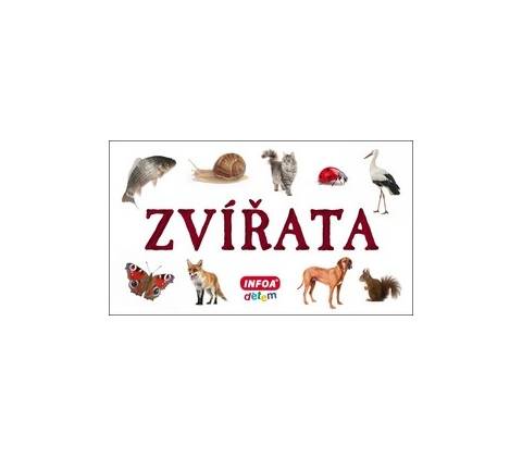 Zvířata