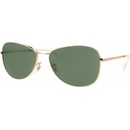 Ray-Ban RB 3733 001 31