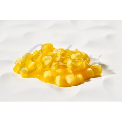 Zeelandia Ovocná náplň Fruitful Mango 2,7 kg