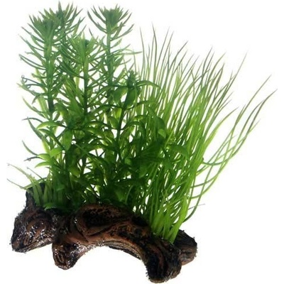 Hobby rastliny na keramickém kořeni 2S 17 cm