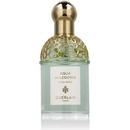 Guerlain Aqua Allegoria Rosa Verde (Refillable) EDT 75 ml