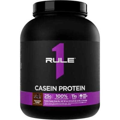 Rule 1 Casein protein 1820 g