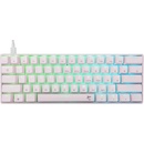 White Shark SHINOBI-2-W-US-BLUE