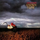 Hudba DEPECHE MODE: A BROKEN FRAME, LP