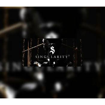 Singularity 5