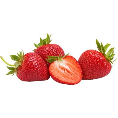 Sazenice jahody HANČ Vraňany Verdi - raná odrůda (EXKLUSIV - zakořeněná)