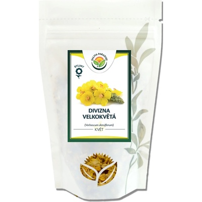 Salvia Paradise Divizna velkokvětá květ 1000 g