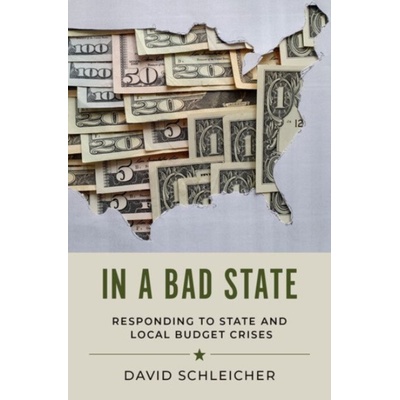 In a Bad State - Schleicher, David (Professor of Law, Professor of Law, Yale Law School)