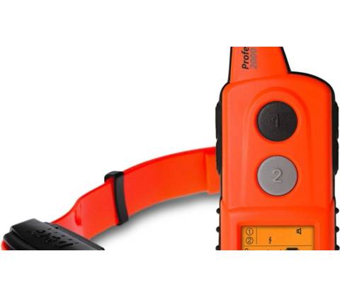 DogTrace d-control professional 2000 orange
