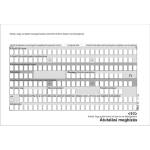 VICTORIA Формуляр за поръчка на превод, ръчен, 500x2, A6, VICTORIA PAPER "PFNY 11" PFNY11 (PFNY11)