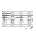 VICTORIA Формуляр за поръчка на превод, ръчен, 500x2, A6, VICTORIA PAPER "PFNY 11" PFNY11 (PFNY11)