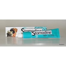 ATV impex Stomodine 30 g