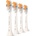 Philips Sonicare Premium All-in-One 4 pcs (HX9094/87)