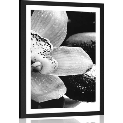 Plakát s paspartou exotická orchidej v černobílém provedení - 60x90 black