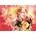 Magnolia - Puzzle Red Plum - 1 000 piese
