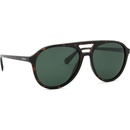 Polaroid PLD 4162/S 086/UC