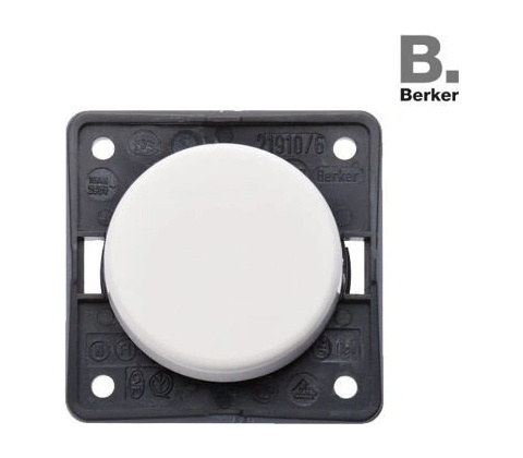Berker 321/256