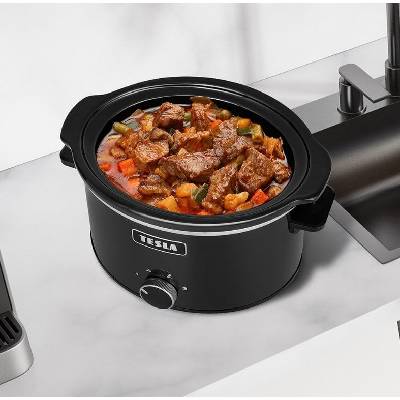 TESLA SlowCook S350
