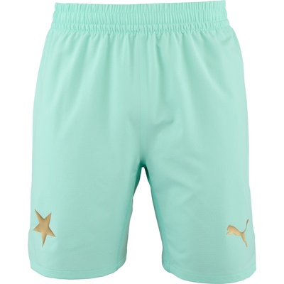 PUMA SKS Shorts Promo XS