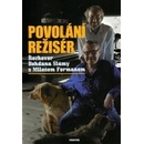 Povolání režisér