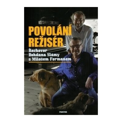 Povolání režisér