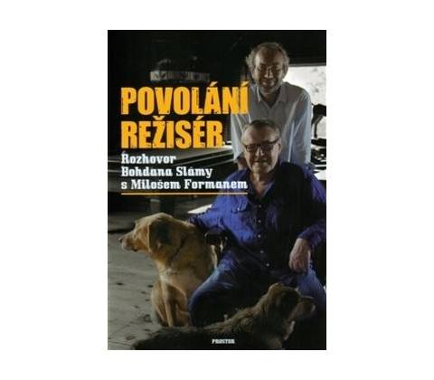 Povolání režisér