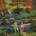 OST - Moonrise Kingdom