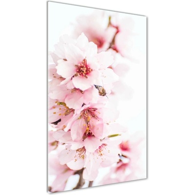 Vertikálny fotoobraz na skle Kvet mandľovníky 50x100 cm