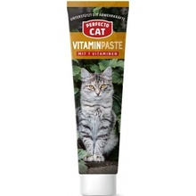 Perfecto Cat vitamínová pasta 100 g