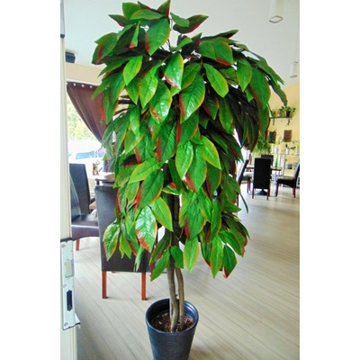Umelý strom- Mango 180cm