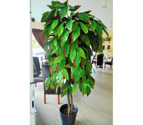 Umelý strom- Mango 160cm