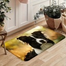 Zolux Podložka pro psy pod misku pejsci L