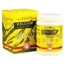 GALVEX KALCIUM karbonát 500 mg + D3 100 tabliet