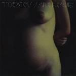 Music on Vinyl Tindersticks: Simple Pleasure - 2Vinyl (LP) (041572)